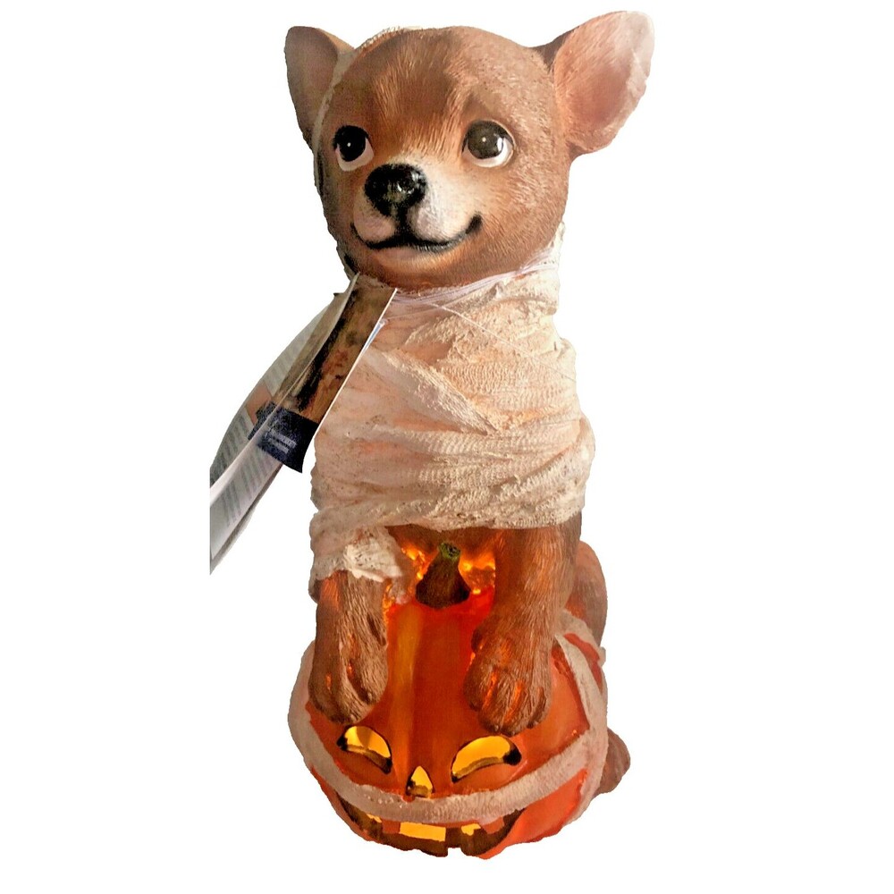 Halloween Chihuahua Mummy LED Light Up Statue Pumpkin Spooky Cute Humane Society